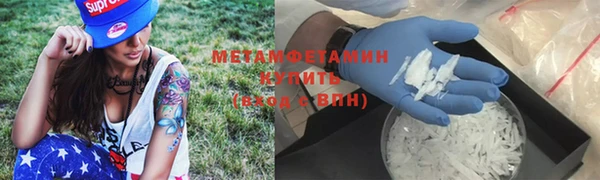 прущие грибы Богородицк