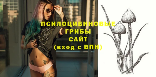 прущие грибы Богородицк