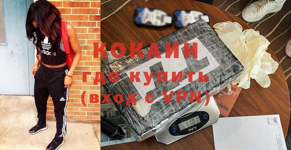 прущие грибы Богородицк
