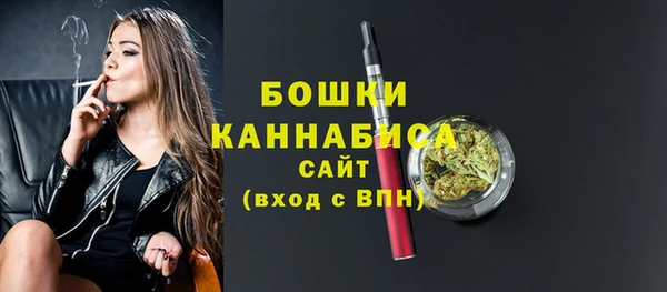 прущие грибы Богородицк