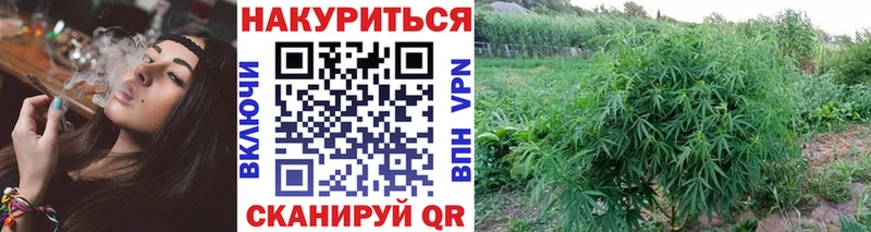 Бошки Шишки VHQ  mega как войти  Улан-Удэ  где купить  